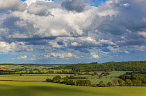 Wards Coombe seen from Ivinghoe hills, Chilterns, Buckinghamshire, UK, June 2011