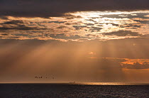 Sun shining through the clouds over The Wash, Hunstanton, Norfolk, UK, September 2011
