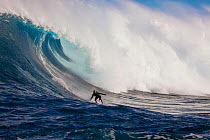 A tow-in surfer drops down the face of Hawaii's big surf at Peahi (Jaws). Maui, December.