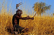 Traditional bush hunter with a calao / hornbill head decoration, preparing bow and arrow for hunt, Northern Cameroon, West Africa