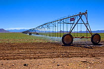 Desert irrigation with use of sprinklers on machinery, near Elfrida, Arizona, USA