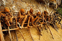 Mummies from Anga tribe, Papua New Guinea