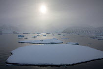 Sun low in the sky over floe ice near the Antarctic peninsula, Antactica, January 2009, Taken on location for BBC Frozen Planet series