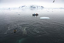 Filming Southern Type B Killer whales (Orcinus orca) in Antarctica. Taken on location for BBC Frozen Planet series, January 2009