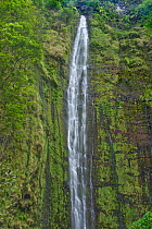 Waimoku Falls Drops (over 400 feet) in the Kipahlu Valley. Maui, Hawaii, February 2011.