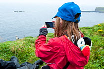 Young girl photographing Puffin (Fratercula arctica) with soft puffin toy in her coat, Lunga, Argyll, Scotland, UK, August 2010, model released