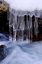 Water frozen into icicles over river, Colorado, USA