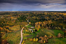 Road leading into the lowland forests of southern Estonia. Europe, October 2010.
