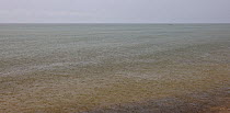 Heavy rainfall on the calm surface of the Baltic Sea. Hiiumaa Island, Estonia, Europe, August, 2011.