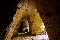 'Piusa Caves', man-made sand mines. Southern Estonia, Europe, April.