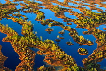 Lowland bog landscape seen from the air. South Estonia, Europe, October 2010.