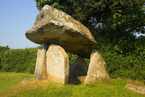Carreg Coetan,  a megalithic Burial Chamber / Cromleck / Quiot in a housing estate in Newport, Pembrokeshire, Wales, UK, June 2010