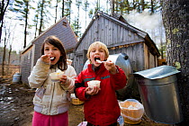 Two children enjoying maple sundaes at Folsom's Sugar House in Chester, New Hampshire, USA. Steam from boiling sap rises from the sugar house. Model released, March 2009