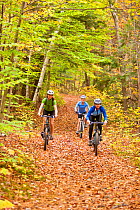 Three women mountain biking on a trail in an abandoned granite quarry on Millstone Hill, Barre, Vermont, USA. autumn. Model released, October 2010