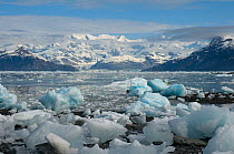 Scenic icy landscape view of Columbia Glacier, one of the fastest moving glaciers in the world, Chugach National Forest, Prince William Sound, Alaska, USA. The Columbia Glacier is now the single large...