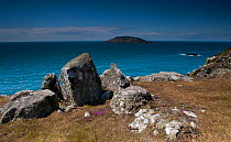 View towards Bardsey Island from the south west tip of the Llyn peninsular. Aberdaron, Wales, June 2011.