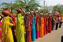 Traditional Indian wedding procession of women in colourful saris, carrying gifts on their heads, along the road, Nagpur, Maharashtra, India