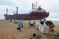Workers cleaning beach of spilt oil from cargo boat "TK Bremen", beached by heavy winds. Erdeven, Brittany, France, December 16th 2011.