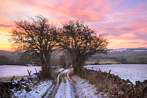 Cherpit Lane below Longstone Moor, Peak District National Park, Derbyshire, UK, December 2011.