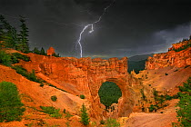Lightning from a summer monsoon thunderstorm flashes over natural rock bridge, Bryce Canyon NP, Utah, USA, August 2010.  NOT AVAILABLE FOR  CARDS OR CALENDARS.