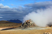 Fumarole in the Krafla volcano area, Iceland, June 2009