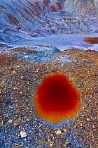 Small pool coloured red by dissolved minerals. Near the Rio Tinto, Andalusia, Spain, January 2008.