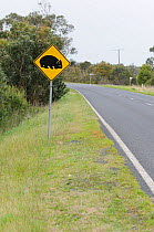 Wombat crossing road warning  sign, Southern Australia
