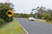 Wombat road crossing warning sign, Southern Australia