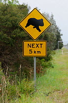 Koala road crossing warning sign, Southern Australia
