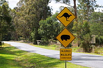 Kangaroo and Wombat road crossing warning sign, Victoria, Australia