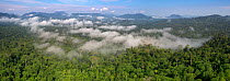 Low cloud hanging over lowland rainforest. Danum Valley, Sabah, Borneo.