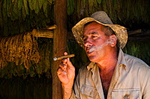 Tobacco farmer smoking cigar, Viales Valley, in Sierra Rosario Mountain Range, UNESCO World Heritage site, Cuba, Caribbean, 2011