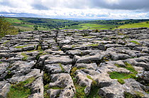 Limestone Pavement at the top of Malham Cove, with views of distant coutryside, Yorshire dales, UK, September 2011