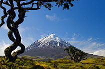 Mount Pico, volcanic mountain, Pico Island, Azores, March, 2010.