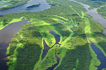 Aerial view of Igapo flooded rainforest, River Negro, Anavilhanas Ecological Station, Brazil, January, 2010.