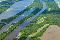 Aerial view of Igapo flooded rainforest, River Negro, Anavilhanas Ecological Station, Brazil, January, 2010.