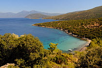 Mikri Laka beach with the southeast tip of Samos and Mount Mycale in Turkey's Dilek Peninsula National Park in the background, east coast of Samos, August 2011.