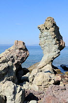Volcanic rock pillar on the coast at Eftalou, Lesbos / Lesvos, Greece, May.