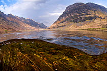 Scenic photo of River Coe in the Highlands, Glen Coe, Scotland, UK, April 2011. 2020VISION Book Plate. Did you know? Glen coe is the remains of a supervolcano which erupted 420 million year ago.