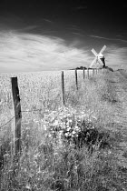 Fence bordering field of Wheat and track with Halnaker Windmill in the background, Chichester, South Downs National Park, Sussex, England, UK, July 2011, monochrome copy of 01367056.