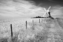 Fence bordering field of Wheat and track with Halnaker Windmill in the background, Chichester, South Downs National Park, Sussex, England, UK, July 2011, a monochrome copy of 01367058