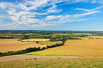 View north from Wilmington Hill of farmland, Wilmington, South Downs National Park, East Sussex, England, UK, July 2011