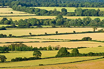 View of arable farmland from Wilmington Hill, Wilmington, South Downs National Park, East Sussex, England, UK, July 2011