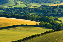 View of downland and arable farmland from Wilmington Hill, Wilmington, South Downs National Park, East Sussex, England, UK, July 2011