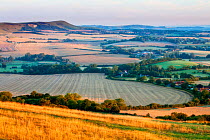 Rolling chalk downland and arable farmland viewed from Wilmington Hill, Wilmington, South Downs National Park, East Sussex, England, UK, July.
