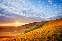 Sunrise over chalk downland viewed from Wilmington Hill, Wilmington, South Downs National Park, East Sussex, England, UK, July