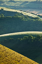 The Devils Dyke, Fulking, South Downs National Park, East Sussex, England, UK, July
