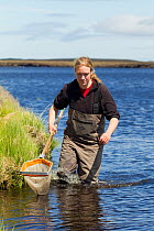 RSPB scientist studying aquatic invertebrate adundance as part of Common Scoter (Melanitta nigra) research, Forsinard Flows RSPB reserve, Flow Country, Sutherland, Highlands, Scotland, UK, June 2011....