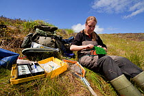 RSPB scientist studying aquatic invertebrate adundance as part of Common Scoter (Melanitta nigra) research, Forsinard Flows RSPB reserve, Flow Country, Sutherland, Highlands, Scotland, UK, June 2011....