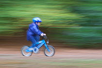Young boy cycling in Glen Affric NNR, Cairngorms NP, Highlands, Scotland, UK, October 2010